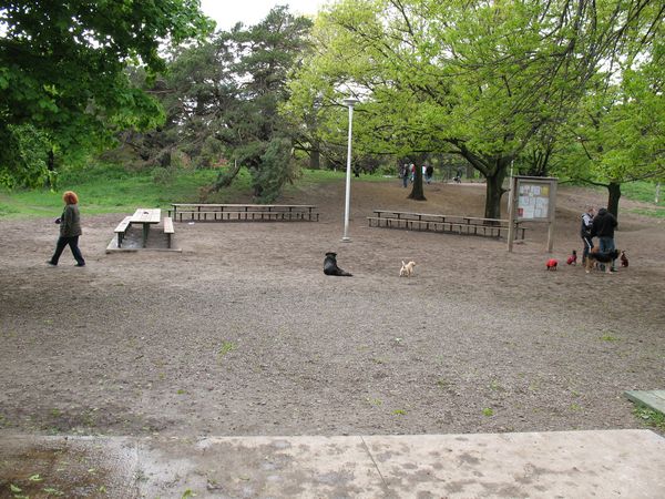 High Park Dog Park