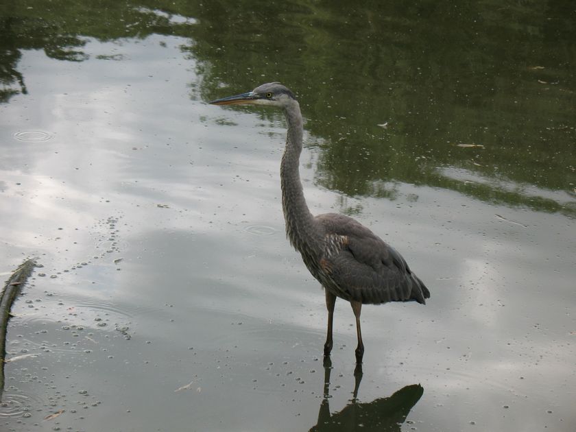 High Park Toronto Waterfront